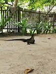 IMG_20220427_112310