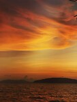 IMG_20220428_184202