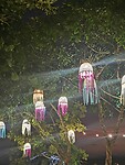 IMG_20220428_190542