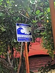 IMG_20220428_190812