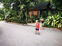 IMG_20220429_175120