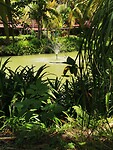 IMG_20220429_124320