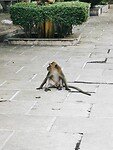 IMG_20220430_160422