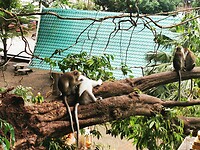 IMG_20220430_160557