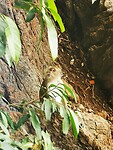 IMG_20220430_160632