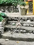 IMG_20220430_175117