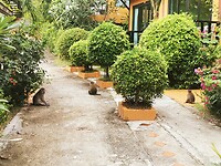 IMG_20220501_163044