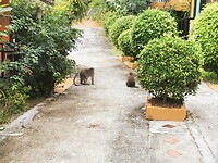 IMG_20220501_163022