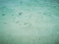 IMG_20220501_142049