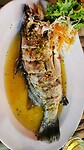 IMG-20220504-WA0015