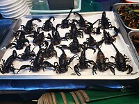 IMG_20220506_183844