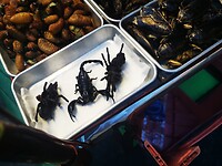 IMG_20220506_183838