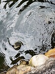 IMG_20220506_101824