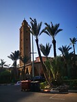 IMG_20230423_072317