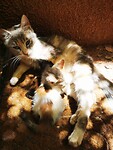 IMG_20230423_122251