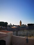 IMG_20230423_064017