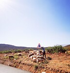 IMG_20230424_203959