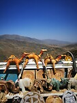 IMG_20230424_111012