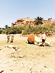 IMG_20230425_111434_edit_208561974695256