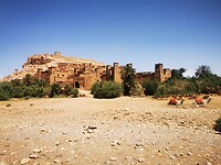 IMG_20230425_111705