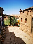 IMG_20230425_100453