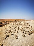 IMG_20230425_102457