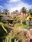 IMG_20230426_165314