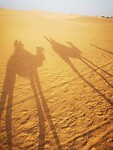 IMG_20230427_180101
