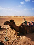 IMG_20230427_170805