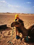 IMG_20230427_170702
