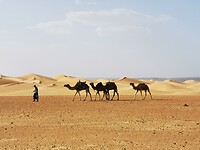 IMG_20230427_163743