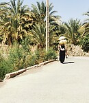 IMG_20230429_095716_edit_57311113552191