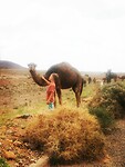IMG_20230429_210251