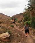 IMG_20230429_173457_edit_47425164149012