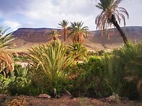 IMG_20230429_174156