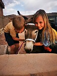 IMG_20230429_172646