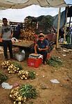 IMG_20230429_120001_edit_38431912381114