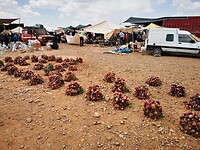 IMG_20230429_115917