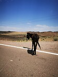 IMG_20230429_110412