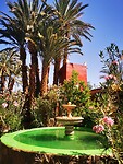 IMG_20230429_093322