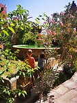 IMG_20230429_093302