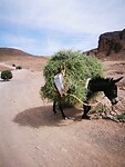 IMG_20230430_103013