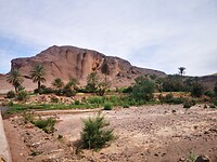 IMG_20230430_102840