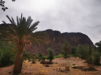 IMG_20230430_102803