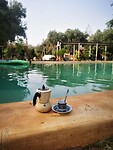IMG_20230503_093346