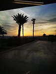IMG_20230504_065220