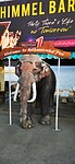 IMG_20240502_175711