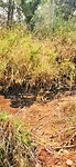 IMG_20240502_092012