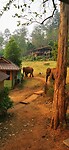IMG_20240502_082359