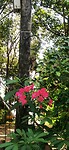 IMG_20240504_115833